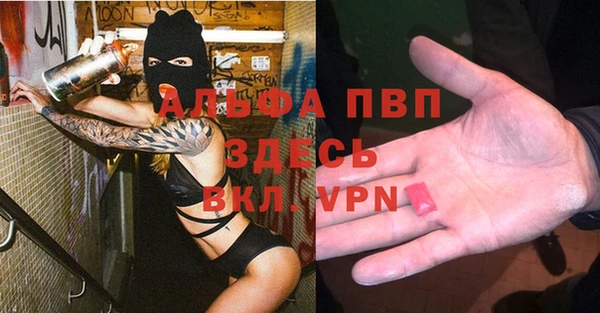 гидра Абаза