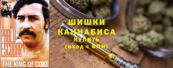 гидра Абаза