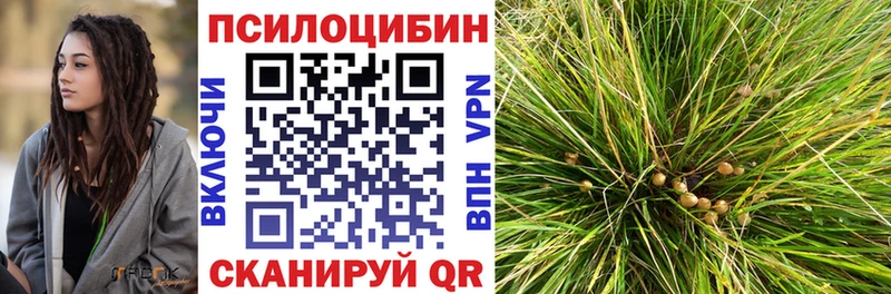 Псилоцибиновые грибы Psilocybe  мега ТОР  Дубовка  где купить наркотик 